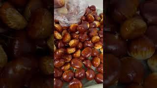 Season of chest nuts  / In the Uk 