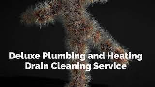 Deluxe Plumbing  Facebook  Drain Cleaning Services Hairy Harry