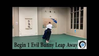Shomen Uchi Kokyu Nage Bokken Kumi Tachi v0