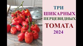 ТРИ ШИКАРНЫХ ПЕРЦЕВИДНЫХ ТОМАТА 2024. РЕКОМЕНДОВАНО К ВЫРАЩИВАНИЮ.