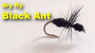 Must Have dry fly Black Ant!