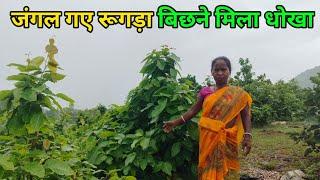 Went to the jungle but got cheated after spreading the rug" #budhanikiduniya