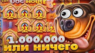 РИСКНУЛ МИЛЛИОНОМ БАТЕ НА ПОДАРОК!!! ШАЛЬНОЙ КАМБЭК И ВЫХОД В ПЛЮС??? DOG HOUSE MEGAWAYS!!