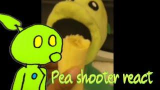 Pea shooter react!?