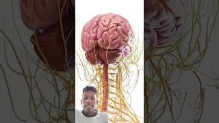 World’s First Biological Computer || #shorts #shortsfeed #trendingshorts