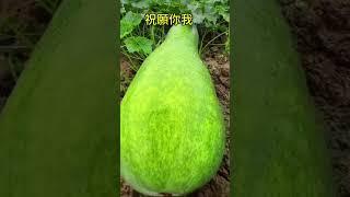 是受教不是悔恨！ 拾穗之悅～2024年8月23日