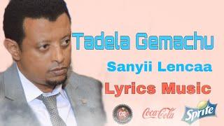 Taddala Gaamchuu "Sanyii Leencaa" New Oromo Lyrics Video 2024