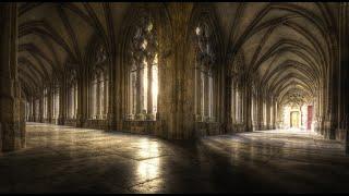 DustShift Chara Original - Halls Of The Corrupted Cathedral