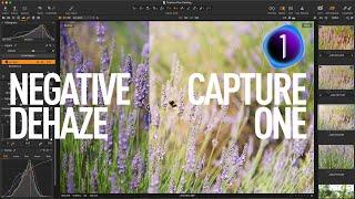 Capture One Tutorial: Soft Light Effect with Negative Dehaze