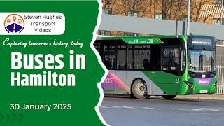 Buses in Hamilton 30 January 2025