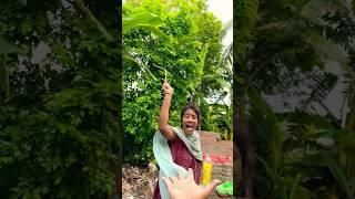 Survival Skills: Single mom show SMART ideas and USEFUL with noodles in forest #camping #bushcraft