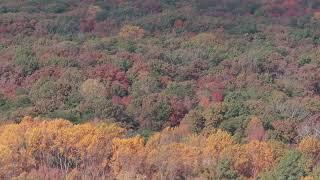 Cedarville Forest State Park