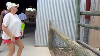 Zoo Fail: Giraffe Grabs Hat and Snack in Hilarious Mix-Up || WooGlobe