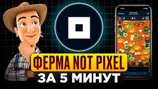 ФЕРМА TELEGRAM С НУЛЯ! СКОЛЬКО ЗАРАБОТАЕМ С ФЕРМЫ NOT PIXEL?