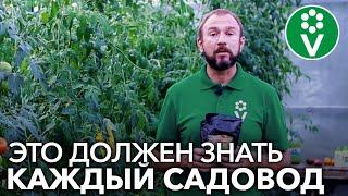 НЕ ИСПОЛЬЗУЙТЕ ЖЕЛЕЗНЫЙ КУПОРОС, пока не узнаете это важное правило!