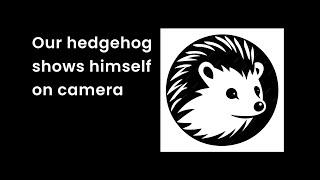 Our hedgehog shows himself on camera