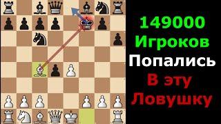 70% ВИНРЕЙТ Дебютная ЛОВУШКА в Шотландской партии за белых САМ ПОПРОБОВАЛ