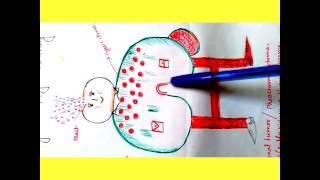 Differential diagnosis of Erythropoiesis Visual Mnemonics for NEET-PG