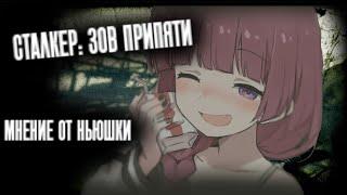 S.T.A.L.K.E.R. — Зов Припяти / Мнение