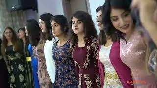 Very Beautiful Girls Turkish Wedding Dance.