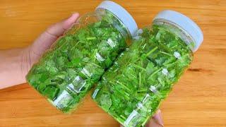 #good way to preserve cilantro that won't go bad for months ，The easiest way to save cilantro