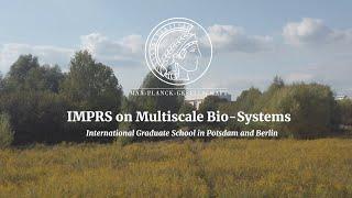 IMPRS on Multiscale Bio-Systems