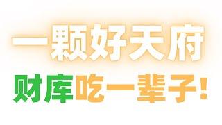 【紫微斗數大師課15】"好天府"一顆【財庫吃一輩子】麥可大叔30年紫微斗數算命命理理老師