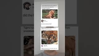 did the lion tell you that?