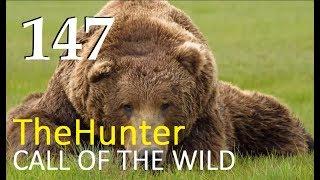 TheHunter Call of the Wild  ЛЕГЕНДАРНЫЙ  МЕДВЕДЬ  # 147