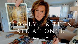 Your Daily Tarot Reading : Slowly And Then ALL AT ONCE | Spiritual Path Guidance