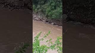 Río Magdalena en Pericongo