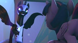 Nightmare Night [SFM]