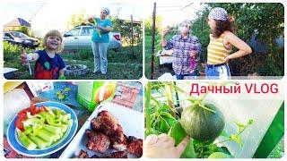 Дачный VLOG: Вся семья на даче. Шашлык, игры, развлечения. #garden