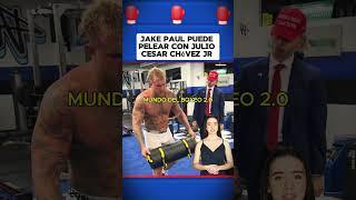 Jake Paul puede pelear con Julio Cesar Chévez JR #boxeo #boxing #box