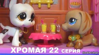 LPS ХРОМАЯ 22 серия