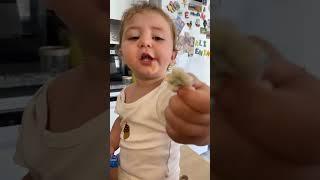 Baby chewing gum  ️#viral #youtube #shortvideo #youtubeshorts #trending #cute #yt #love #ytshorts