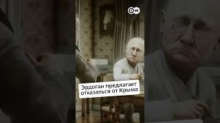 #Эрдоган определил судьбу Крыма @zapovednik