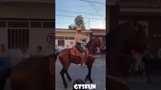 amazing horse   GTSfun