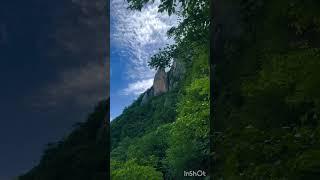 Spring Walk: Discovering the Majesty of a Green Mountain and Its Forest