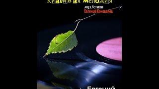 Евгений КОНОВАЛОВ - "Красивая мелодия" NEW 2015!