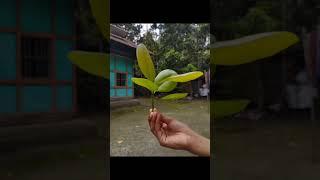 creative photography tips trick withe phone using pro mood? Mobile photography?#aziz_click
