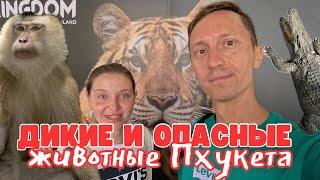 В гостях у животных Таиланда: слоны, тигры, крокодилы, обезьяны. Животный мир Пхукета 2024