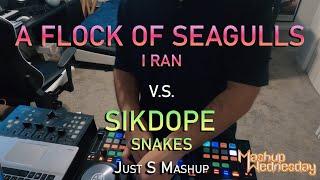 A Flock Of Seagulls V Sikdope - I Ran V.S. Snakes (Just S Mashup)