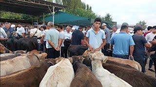 Qoqon mol bozori ģunajinlar VA sigirlar narhlari bilan tanishing 14.08.2024yil