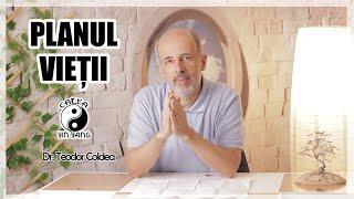 Planul vieții - Dr.Teodor Coldea - Calea Yin Yang