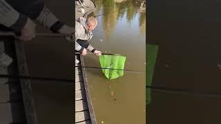 КРХ ТРИФОН