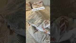 sofiadelmonstro | Animals Pets TikTok |