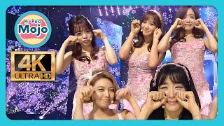 Girls' Generation 소녀시대 SNSD; Lion Heart - SBS Inkigayo - 13 SEP 2015 4K60