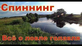 Как ловить голавля на спиннинг. Выбор места ловли. Как выбрать спиннинг. Плетёнка. Катушка. Приманки