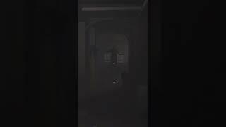 SHE'S BEHIND YOU!!  #demonologist #gaming #shorts #scary #funny #phasmophobia #ghosthunting #ghosts